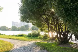 Парки
