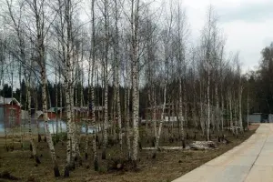 Коттеджный посёлок Рига Парк