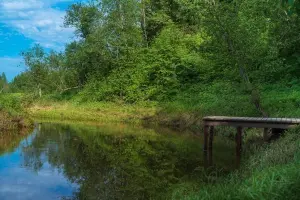 Коттеджный посёлок Кореньки