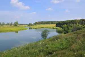 Коттеджный посёлок Петровский