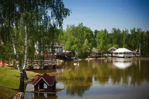 Коттеджный посёлок Княжье Озеро