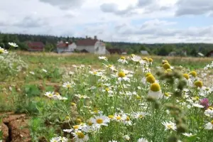 Коттеджный посёлок Веледниково DELUXE