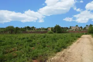 Коттеджный посёлок Веледниково DELUXE