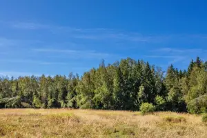 Коттеджный посёлок Звенигородский лес