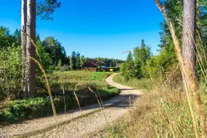 Коттеджный посёлок Звенигородский лес