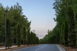 Коттеджный посёлок Crystal Istra