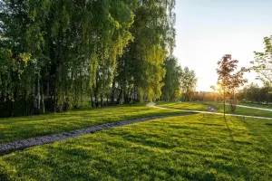 Коттеджный посёлок Crystal Istra