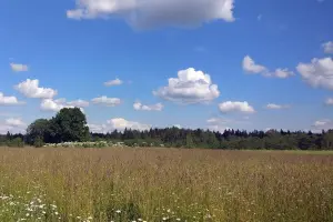 Коттеджный посёлок Совино