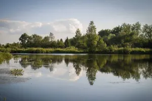 Коттеджный посёлок Матренино