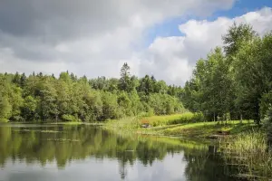 Коттеджный посёлок Матренино