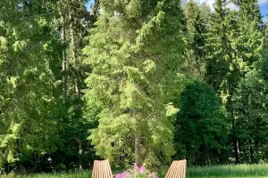 Коттеджный посёлок Радости парк