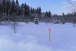 Коттеджный посёлок Радости парк