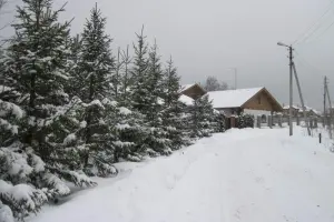 Коттеджный посёлок Петровский парк