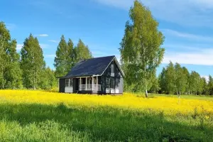 Коттеджный посёлок Триумф