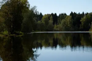 Коттеджный посёлок Риверсайд