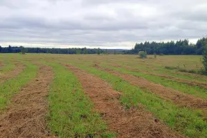 Коттеджный посёлок Берёзовка Парк