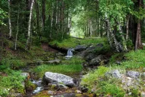 Коттеджный посёлок Два ручья