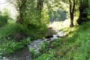 Коттеджный посёлок Два ручья