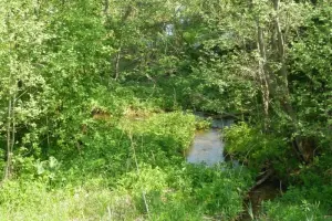 Коттеджный посёлок Два ручья