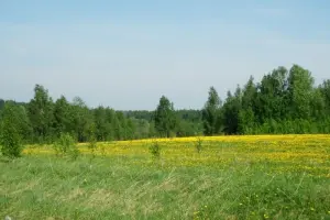 Коттеджный посёлок Два ручья