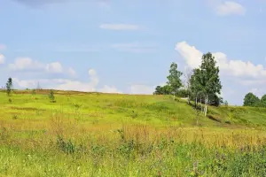 Коттеджный посёлок Коськово