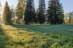 Коттеджный посёлок Лесогорье