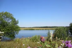 Коттеджный посёлок Новорижский Пляж