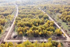 Коттеджный посёлок Андрейково Парк