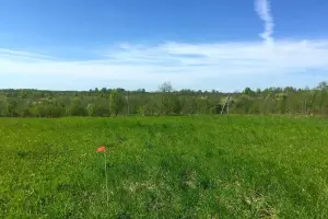 Коттеджный посёлок Другие дачи