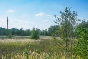 Коттеджный посёлок Солнечная долина Михайловское