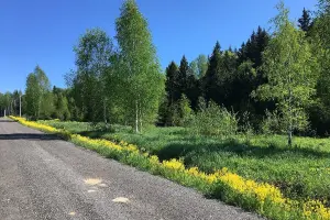 Коттеджный посёлок Крутой Берег