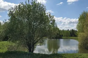 Коттеджный посёлок Иванцево