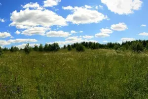 Коттеджный посёлок Рижское поместье-2