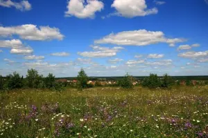 Коттеджный посёлок Рижское поместье-2