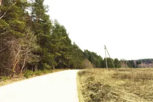 Коттеджный посёлок Рижские дворики