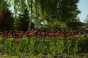 Коттеджный посёлок Новорижский