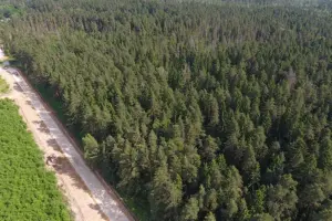 Коттеджный посёлок Павловские сосны