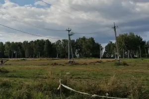 Коттеджный посёлок Благовещенское