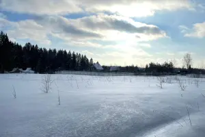 Коттеджный посёлок Хвойный лес