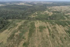 Коттеджный посёлок Усадьба в Подмосковье