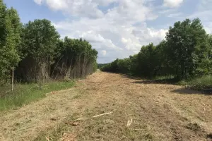 Коттеджный посёлок Федцово