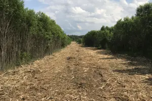 Коттеджный посёлок Федцово