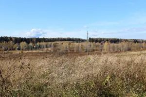 Коттеджный посёлок Рижская Дубрава