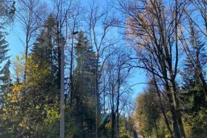 Коттеджный посёлок Рижская Дубрава