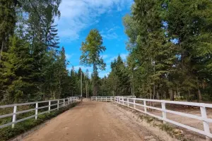 Коттеджный посёлок RuzaЛес