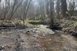 Коттеджный посёлок RuzaЛес