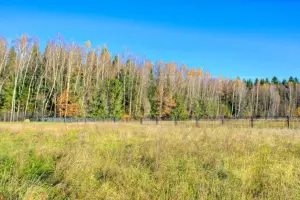 Коттеджный посёлок Веледниково