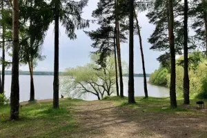 Коттеджный посёлок Толстиково-Алёхново