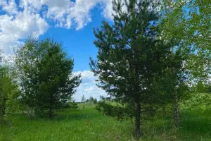 Коттеджный посёлок Искона Парк