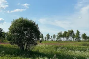 Коттеджный посёлок Искона Парк